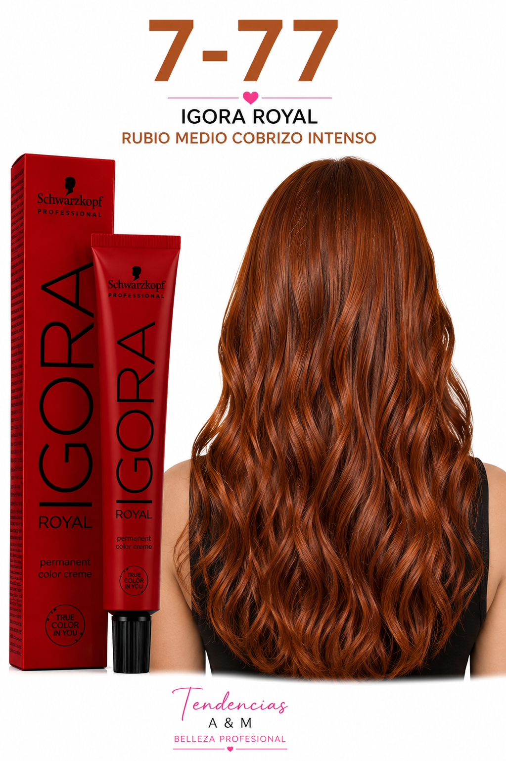 igora royal 7-77 Rubio medio cobrizo intenso
