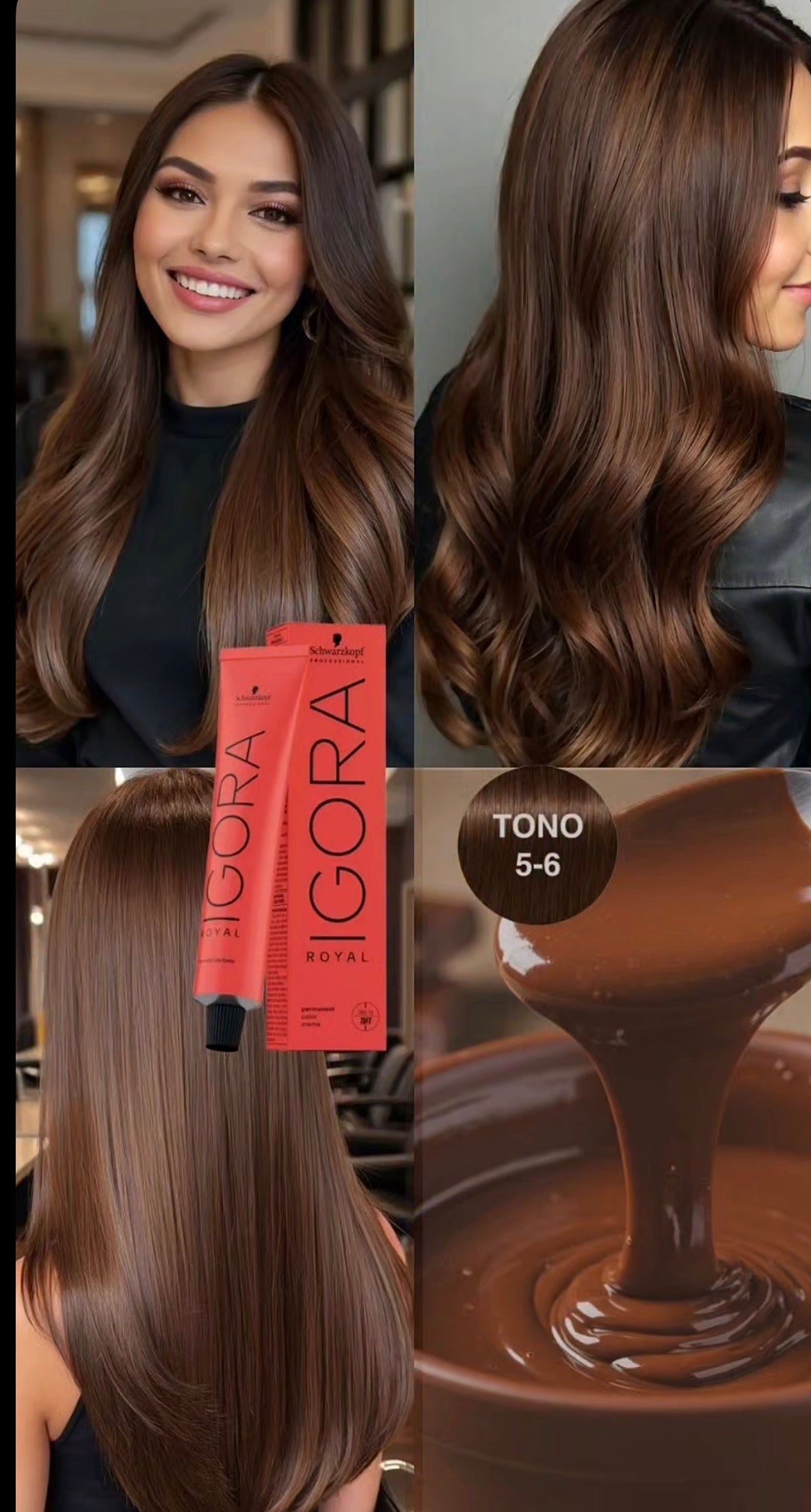 Igora royal 5-6 chocolate tendencia