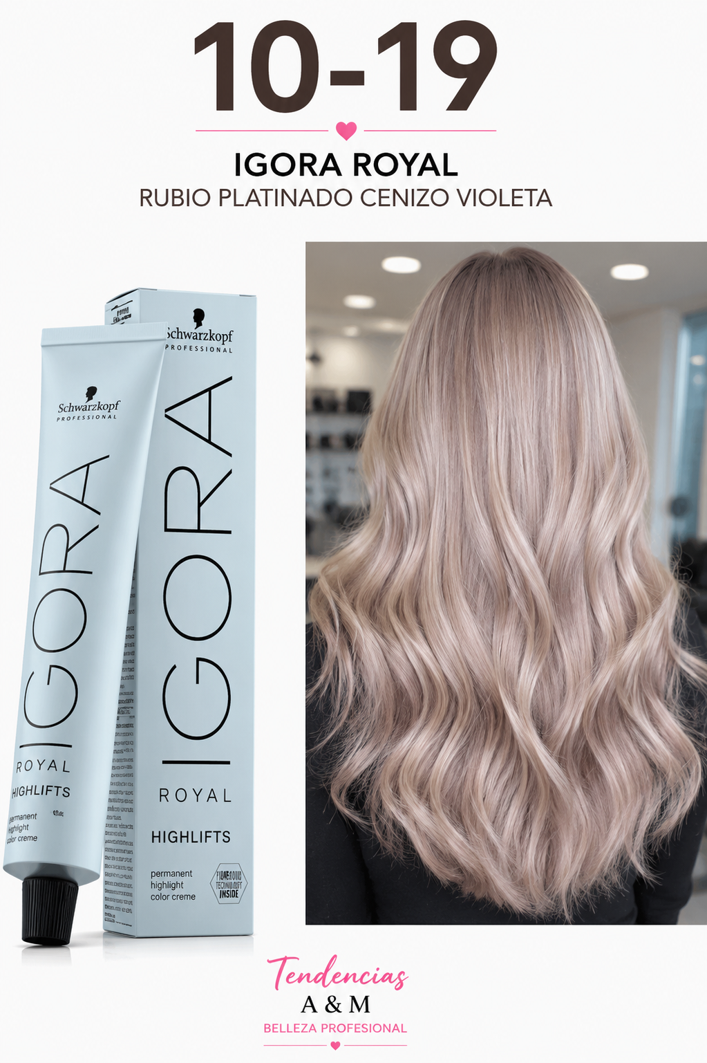Igora royal 10.19