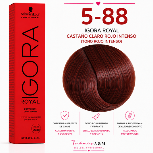 Igora Royal 5-88 – Castaño Claro Rojo Intenso | Tinte Permanente Profesional