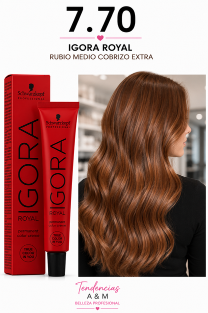 Igora royal 7-70 rubio medio cobrizo