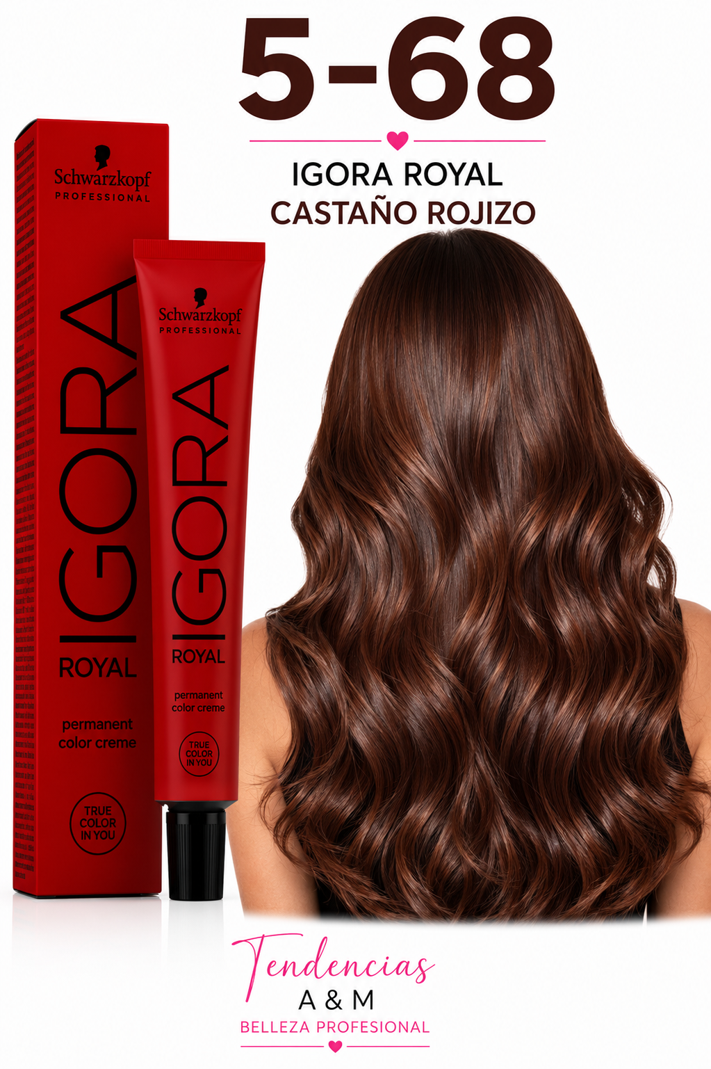 Igora royal 5-68 cholate rojizo
