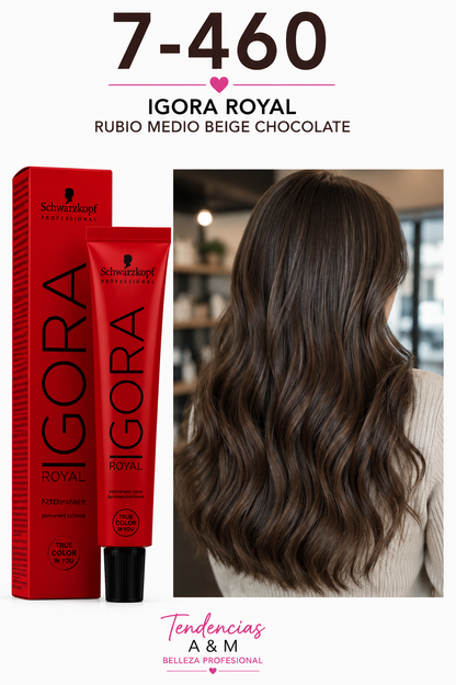 Igora royal 7-460 rubio medio beige chocolate
