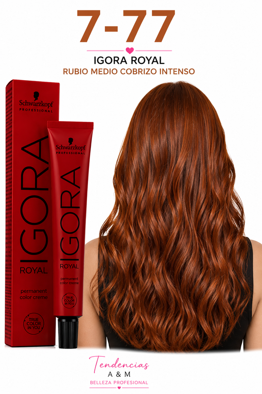 igora royal 7-77 Rubio medio cobrizo intenso