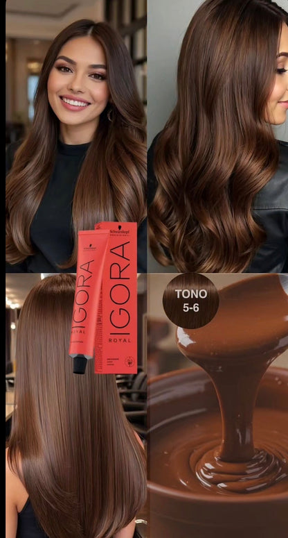 Igora royal 5-6 chocolate tendencia