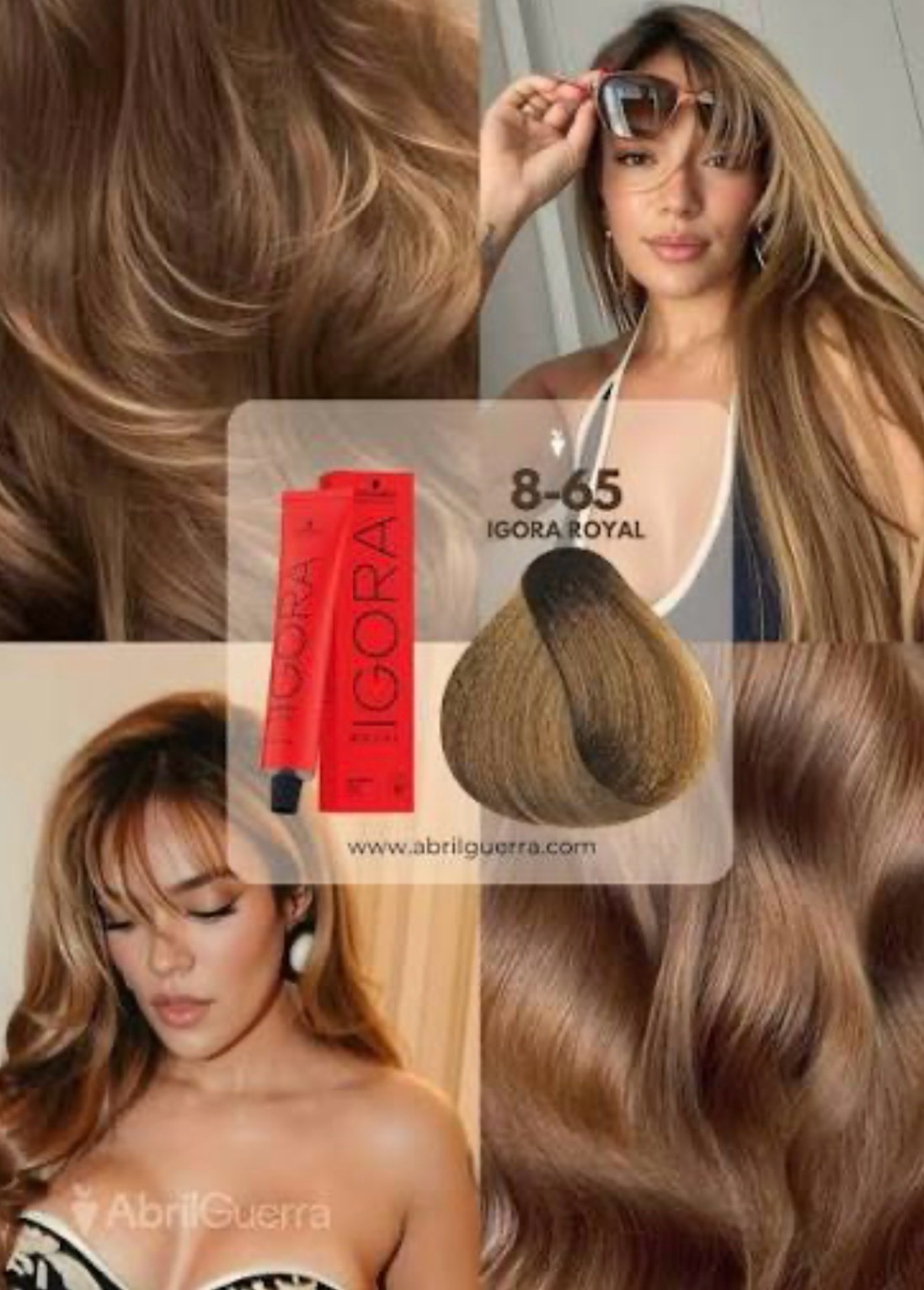 Igora royal 8-65 tono tendencia